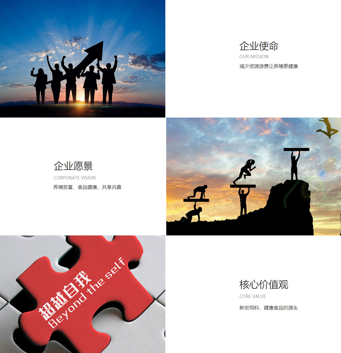 永信国际网址(图1)